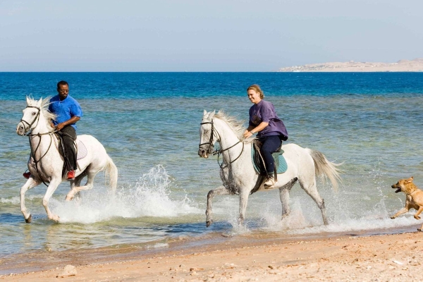 Mercure Hurghada Hotel